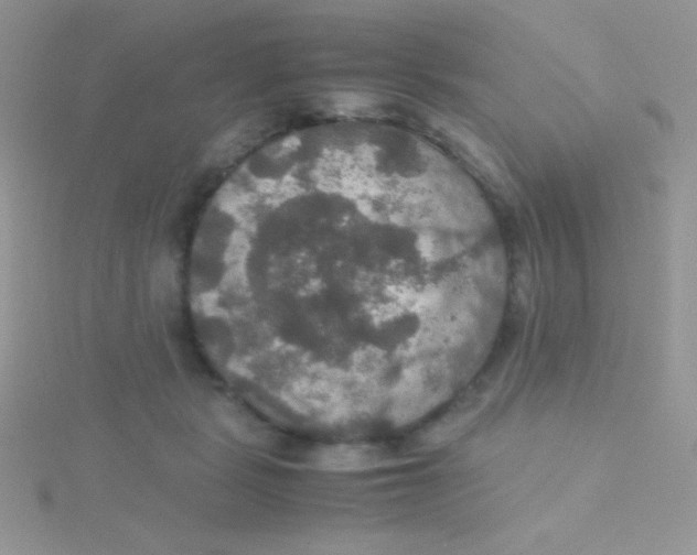 X0000115390461200911241249