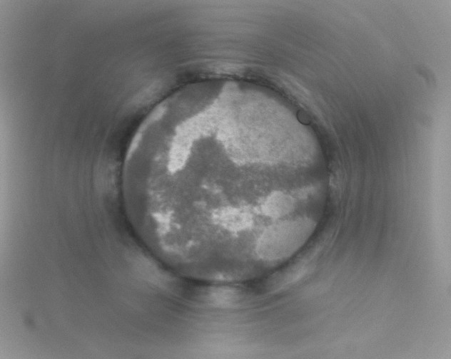 X0000115390462200911241249