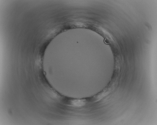 X0000115390465200911241250