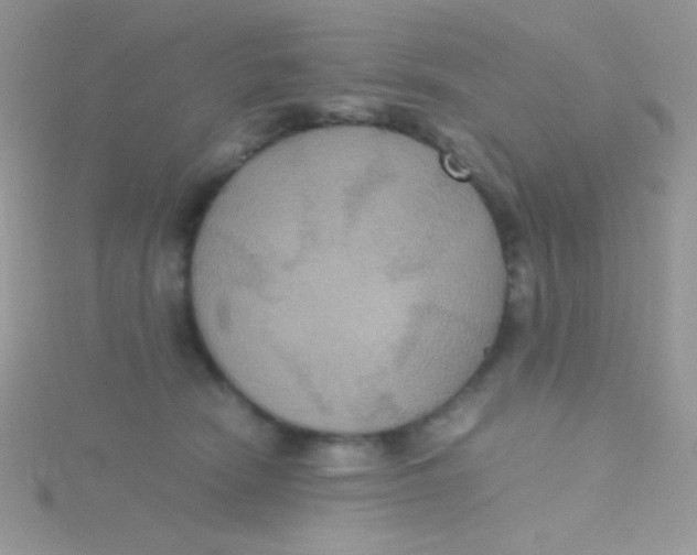 X0000115390466200911241250