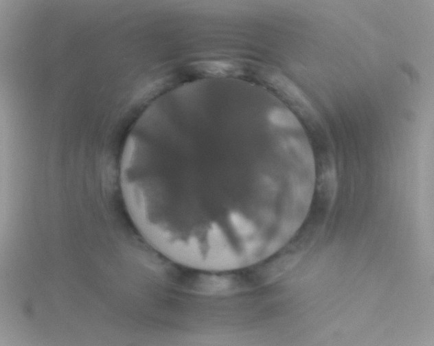 X0000115390469200911241250