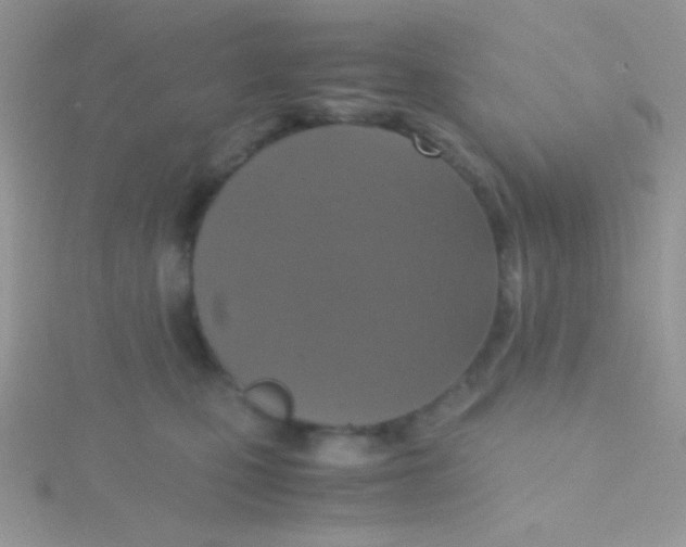 X0000115390471200911241250