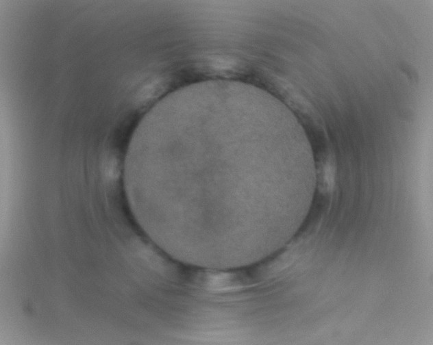 X0000115390472200911241250