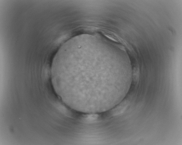 X0000115390474200911241250