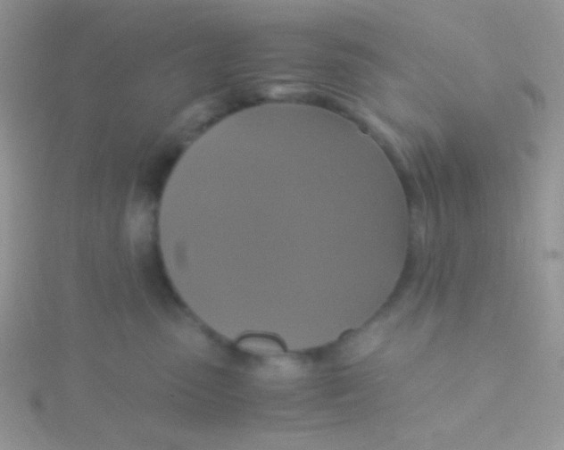 X0000115390475200911241250