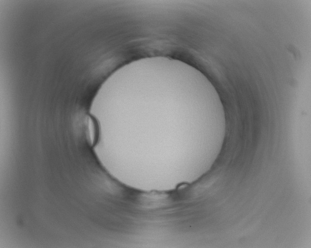 X0000115390480200911241250