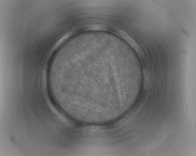 X0000115390482200911241249