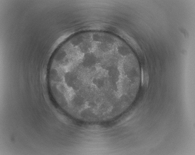 X0000115390483200911241249