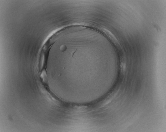 X0000115390484200911241249