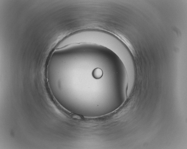 X0000115390485200911241249