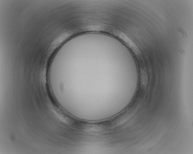 X0000115390486200911241249