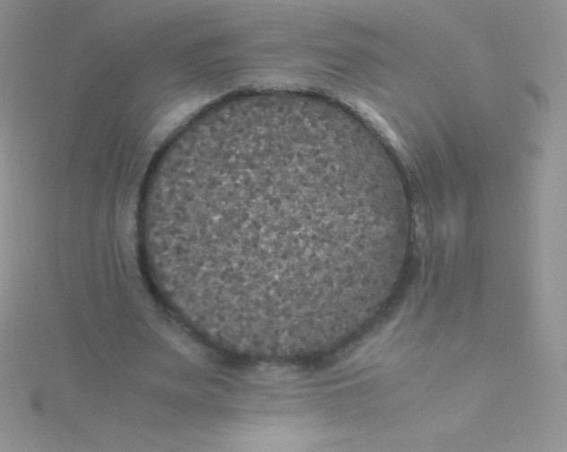 X0000115390487200911241249