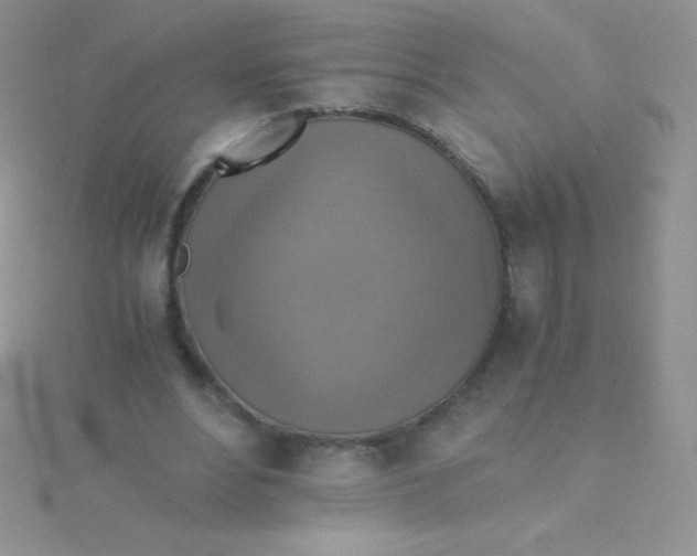 X0000115390488200911241249