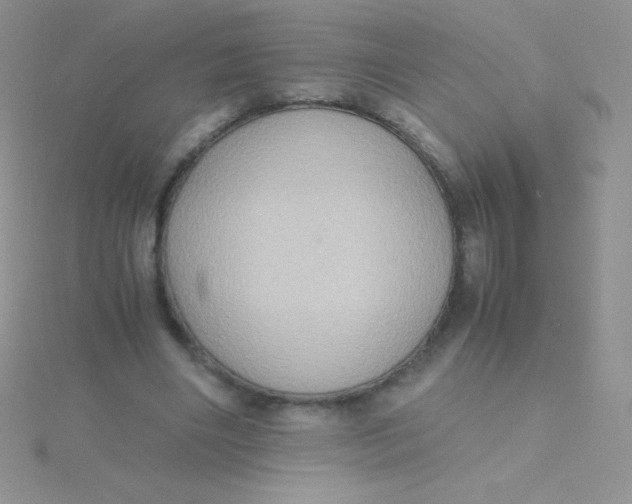 X0000115390490200911241249