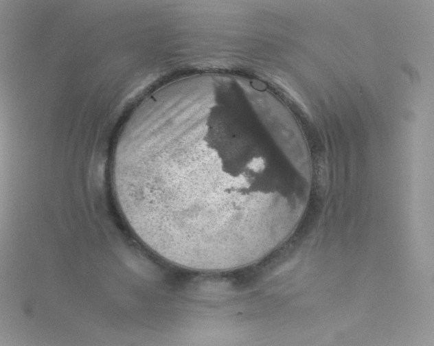 X0000115390491200911241249