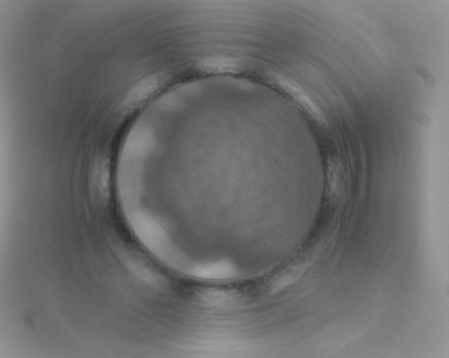 X0000115390494200911241249