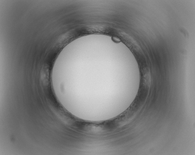 X0000115390498200911241249