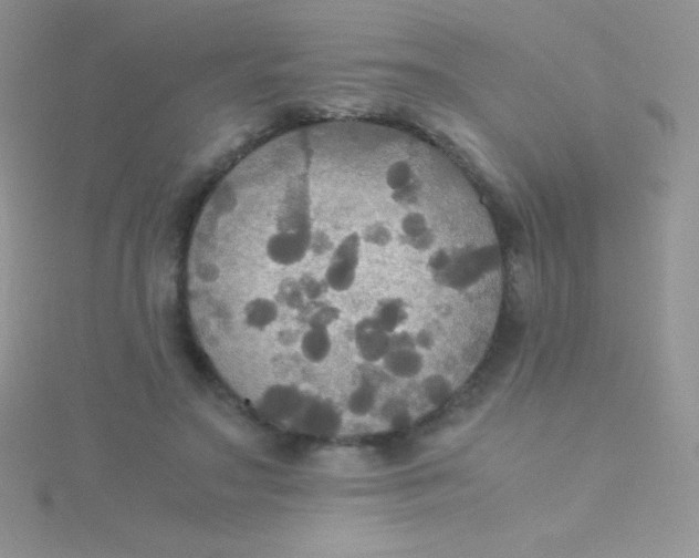 X0000115390499200911241249