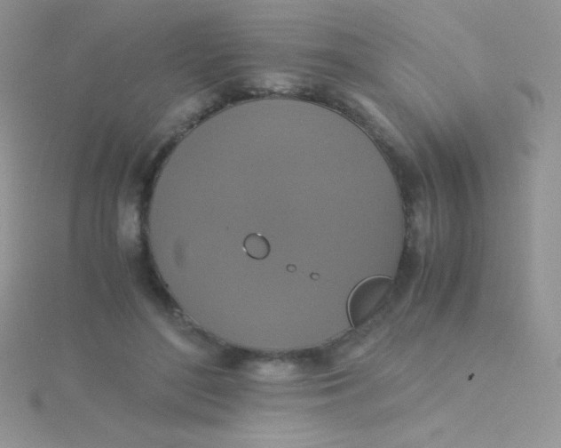 X0000115390500200911241249