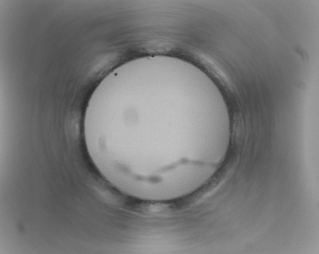 X0000115390501200911241249