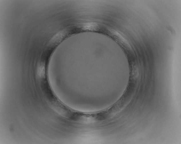 X0000115390502200911241249