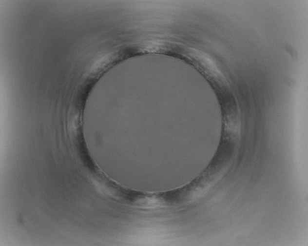 X0000115390503200911241249