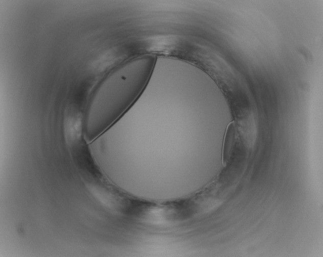 X0000115390504200911241249