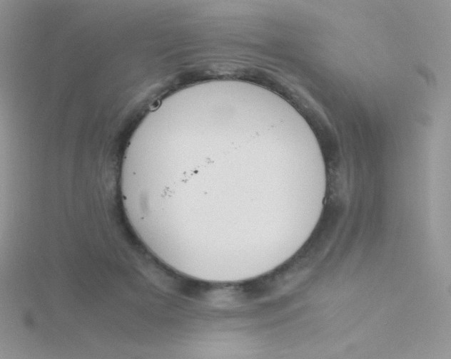 X0000115390505200911241249