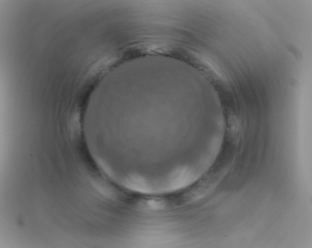 X0000115390506200911241249