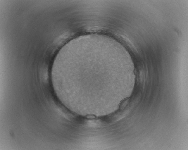 X0000115390508200911241249