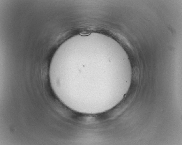 X0000115390509200911241249