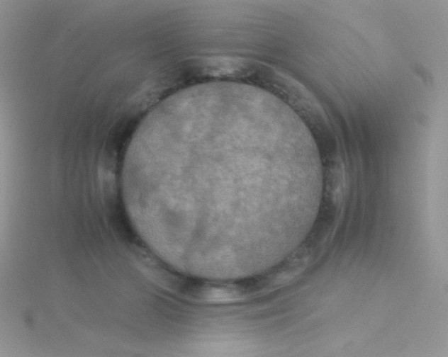 X0000115390510200911241249