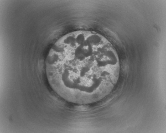 X0000115390511200911241249