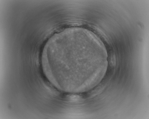 X0000115390512200911241249