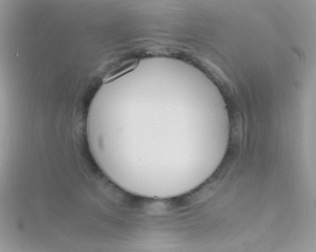 X0000115390513200911241249