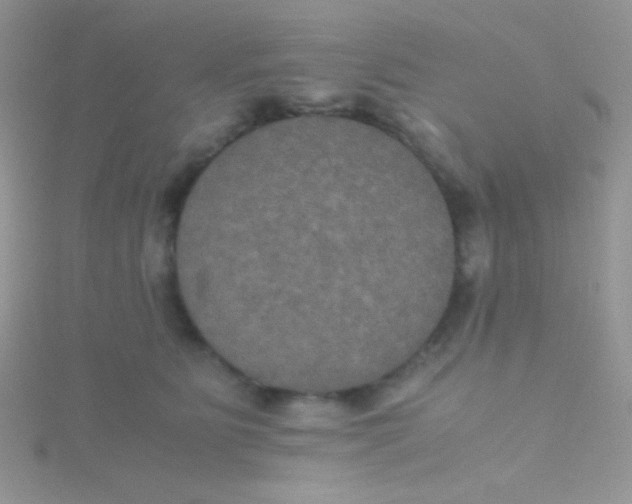 X0000115390515200911241249