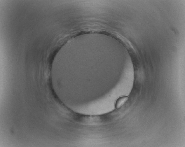 X0000115390517200911241249