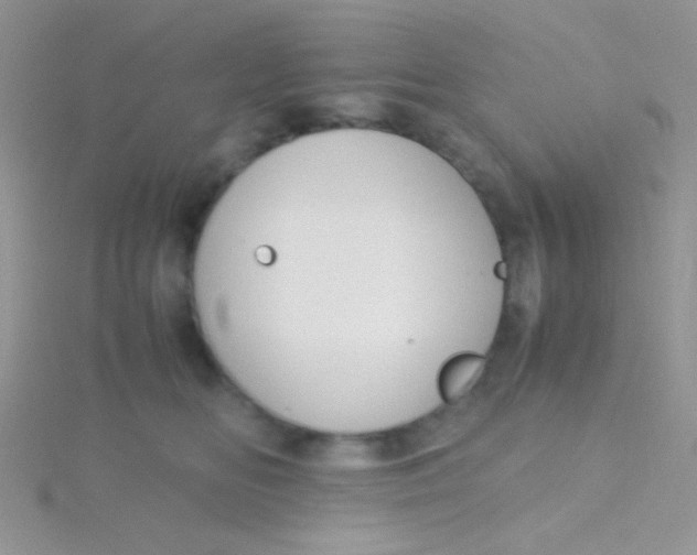 X0000115390518200911241249