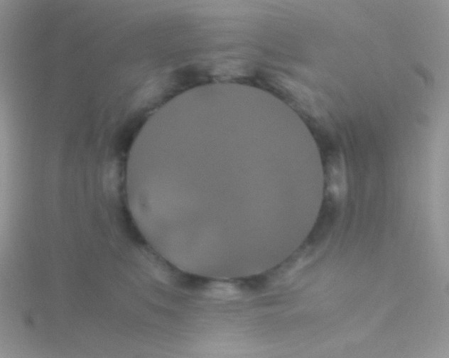 X0000115390519200911241249