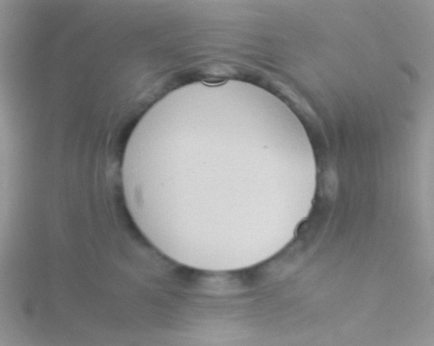 X0000115390521200911241249