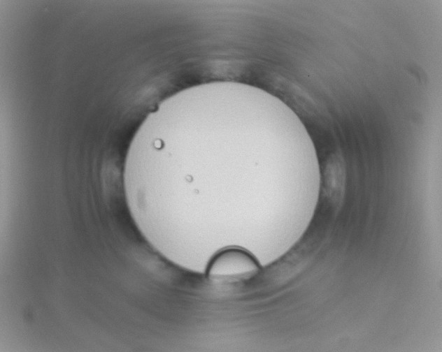 X0000115390522200911241249