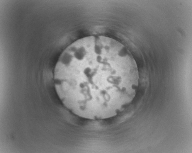 X0000115390523200911241249