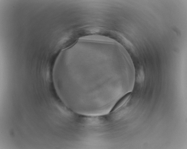 X0000115390524200911241249