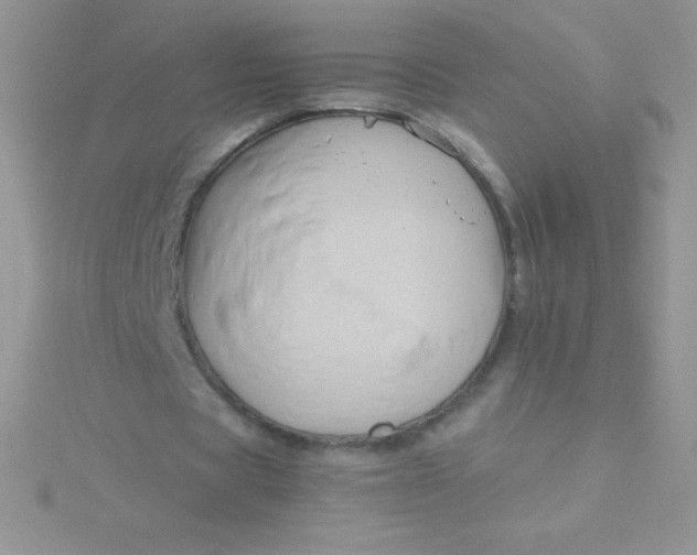 X0000115390529200911241248