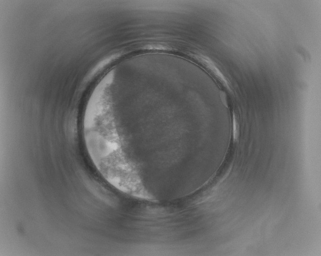 X0000115390531200911241248