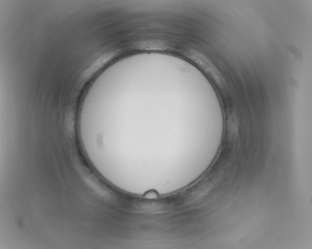 X0000115390533200911241248