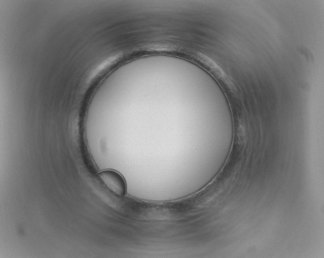 X0000115390535200911241248