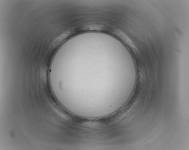 X0000115390537200911241248