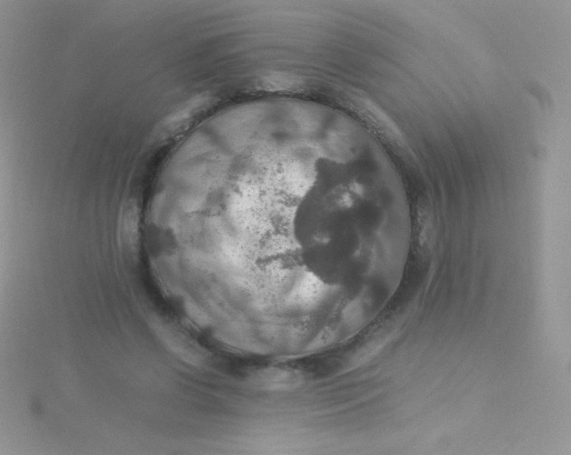 X0000115390542200911241248