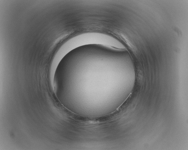 X0000115390543200911241248